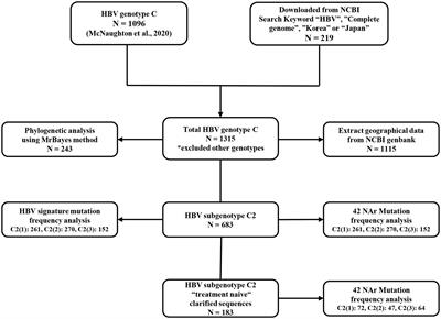 Global prevalence and molecular characteristics of three clades within hepatitis B virus subgenotype C2: Predominance of the C2(3) clade in South Korea